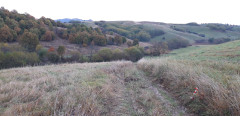 Teljesítménytúrák :: Kovács Beáta emléktúra :: 20231028_072345.jpg :: 