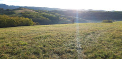 Teljesítménytúrák :: Kovács Beáta emléktúra :: 20231028_082526.jpg :: 