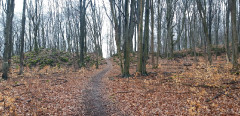 Teljesítménytúrák :: Bükki Kilátások Classic teljesítménytúra :: 20240302_133050.jpg :: 