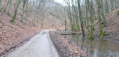 Teljesítménytúrák :: Bükki Kilátások Classic teljesítménytúra :: 20240302_151802.jpg :: 