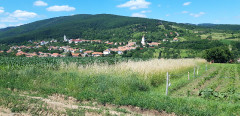 Teljesítménytúrák :: Kaptárkövek teljesítménytúra :: 20240615_145113.jpg :: 