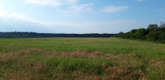 Teljesítménytúrák :: BükkiNyúlsz 2019 :: 20190629_073243.jpg :: 