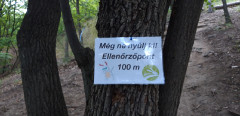 Teljesítménytúrák :: BükkiNyúlsz 2019 :: 20190629_074240.jpg :: 