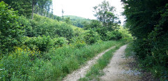 Teljesítménytúrák :: BükkiNyúlsz 2019 :: 20190629_094414.jpg :: 