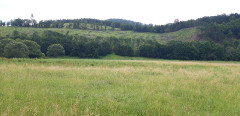 Teljesítménytúrák :: BükkiNyúlsz 2019 :: 20190629_105741.jpg :: 