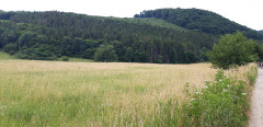 Teljesítménytúrák :: BükkiNyúlsz 2019 :: 20190629_105745.jpg :: 
