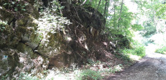 Teljesítménytúrák :: BükkiNyúlsz 2019 :: 20190629_111814.jpg :: 
