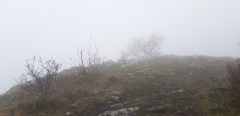Teljesítménytúrák :: Tortúra 65 :: 20221217_133324.jpg :: 