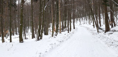 Teljesítménytúrák :: Téli Mátra :: 20230128_125113.jpg :: 
